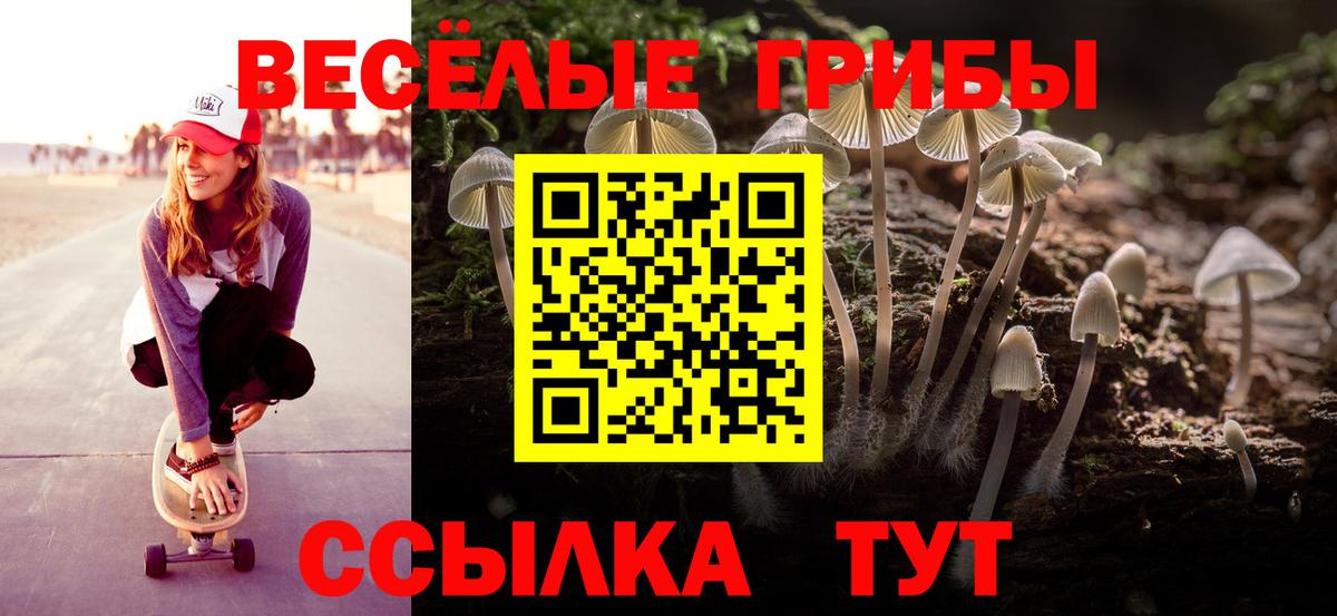 Галлюциногенные грибы Cubensis  Галлюциногенные грибы Psilocybe  Вход с VPN  Выкса 