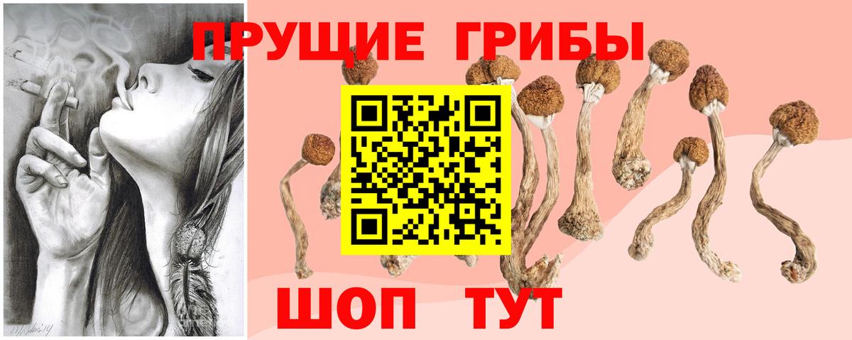 Галлюциногенные грибы MAGIC MUSHROOMS Выкса